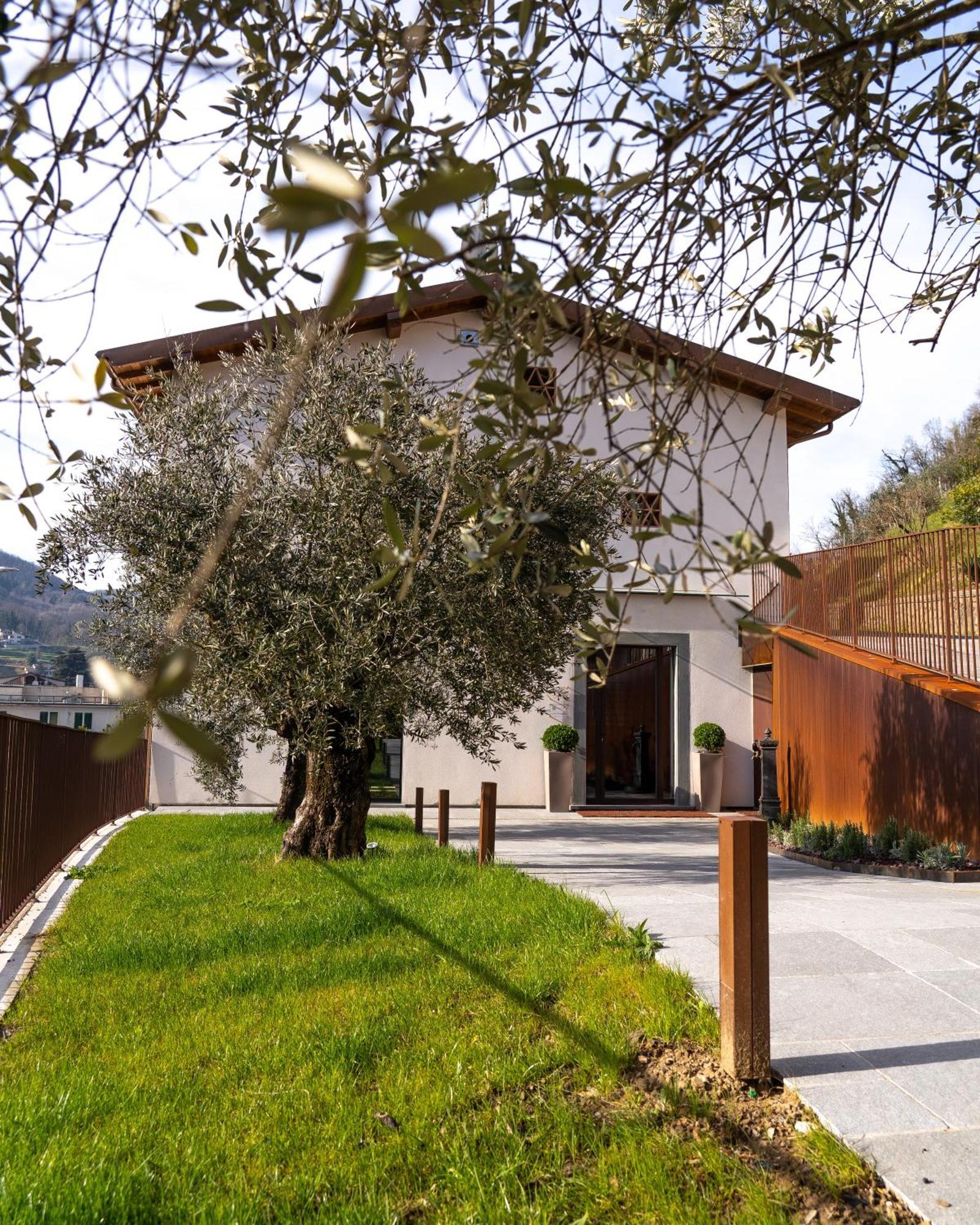 Il Pradicciolo Agriturismo Castelnuovo di Garfagnana Kültér fotó